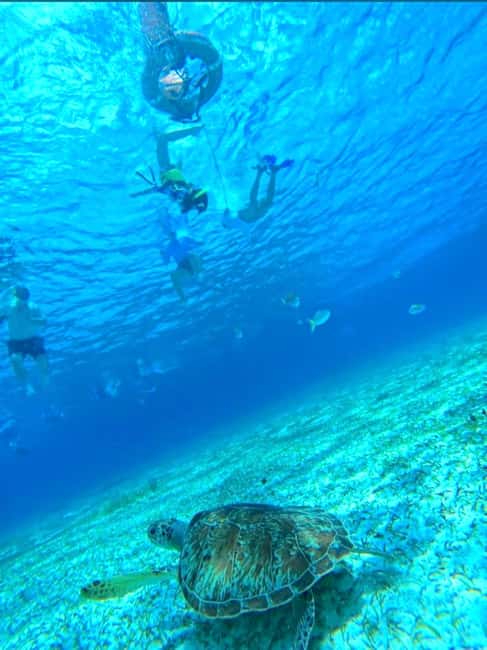 Cozumel: snorkeling on reefs + visit to "El Cielo" - The 4-hour rhythm: where the time goes at the pier and on the water