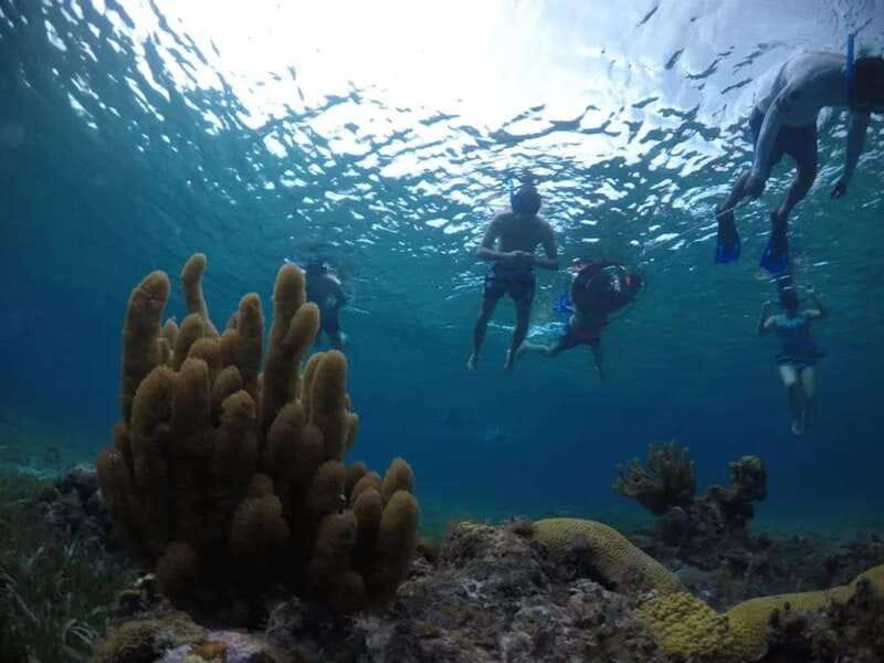 Cozumel: snorkeling on reefs + visit to "El Cielo" - Food and drinks on board: a real break between swims