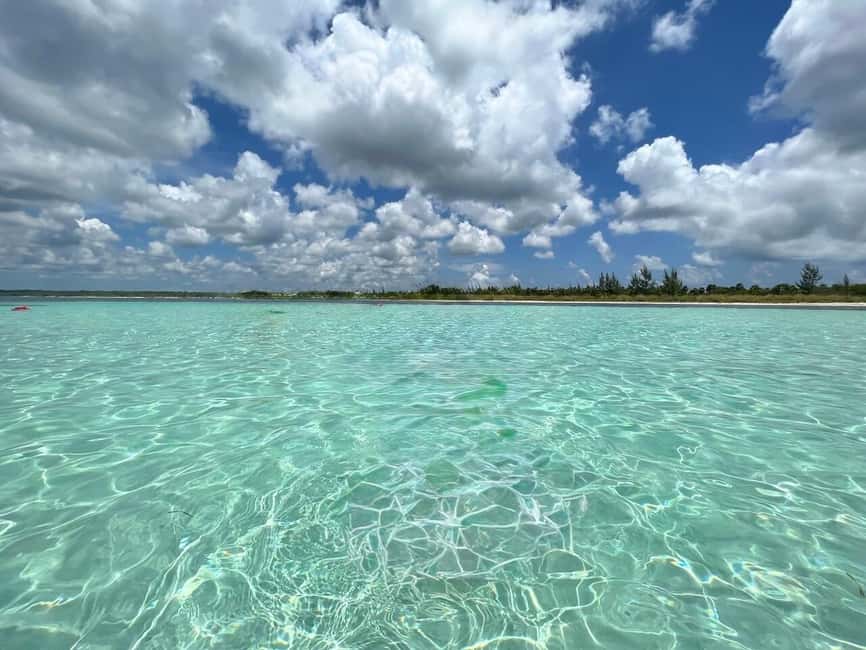 Cozumel: snorkeling on reefs + visit to "El Cielo" - Who this snorkeling plus El Cielo trip suits best