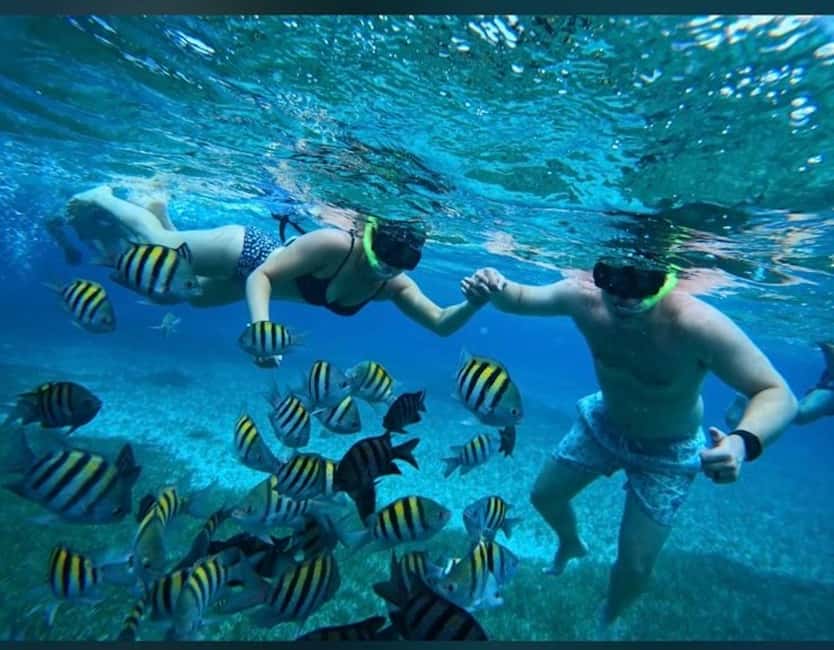 Cozumel: snorkeling on reefs + visit to "El Cielo" - El Cielo: starfish sandbar water, and what to expect with manta rays