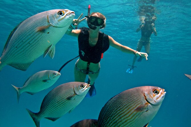 Cozumel Snorkeling Tour: Palancar, Columbia and El Cielo Reefs - Key things I’d prioritize on this Cozumel snorkeling tour