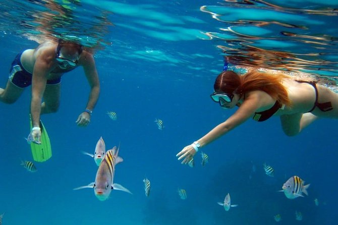 Cozumel Snorkeling Tour: Palancar, Columbia and El Cielo Reefs - Stop 3: Columbia Reef and coral formations you can swim around
