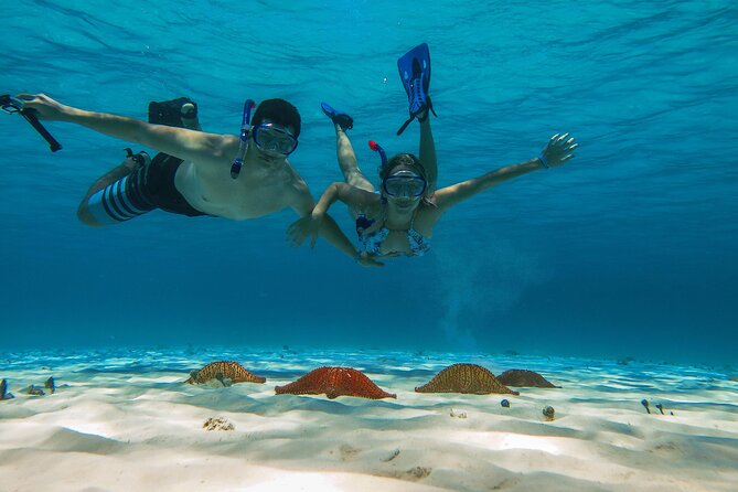 Cozumel Snorkeling Tour: Palancar, Columbia and El Cielo Reefs - Getting to Marina Cozumel ASIPONAC, and what to bring