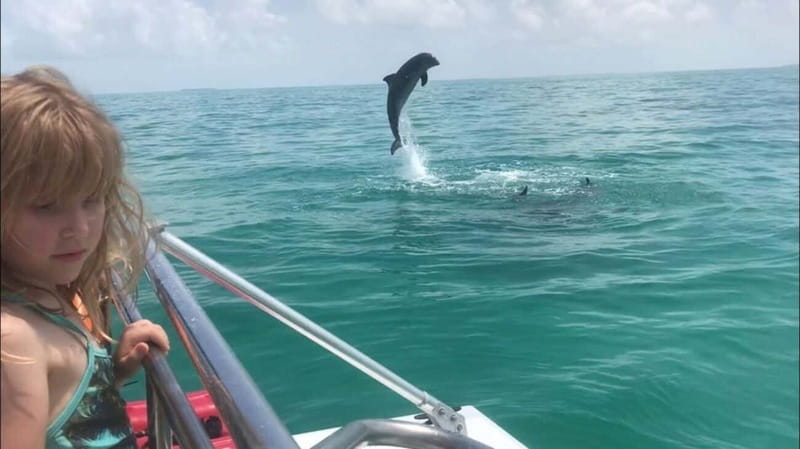 Destin: Dolphin Watching Cruise - Should you book this Destin Dolphin Watching Cruise?