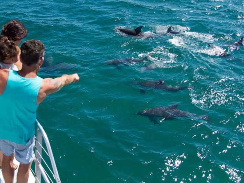 Destin: Dolphin Watching Cruise - What the first part of the cruise feels like: boarding and leaving port