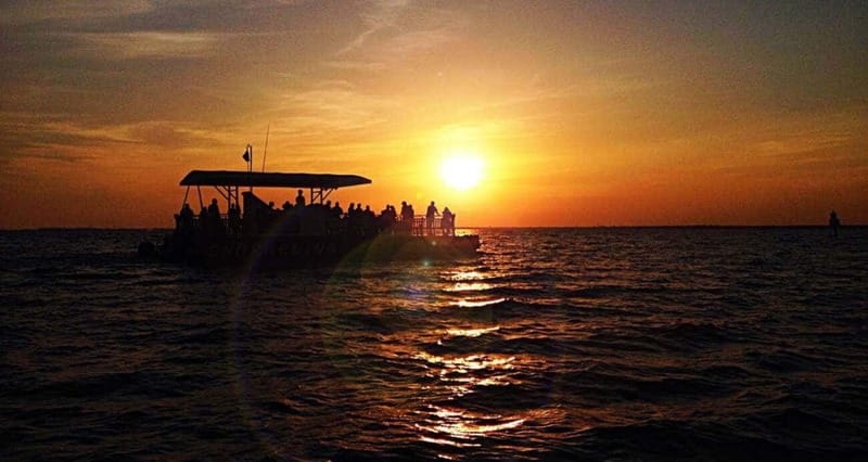 Destin: Dolphin Watching Cruise - The dolphin search: how the crew helps you spot fast