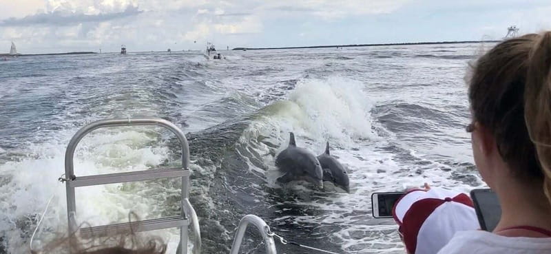 Destin: Dolphin Watching Cruise - Seating, shade, and comfort during the 90 minutes