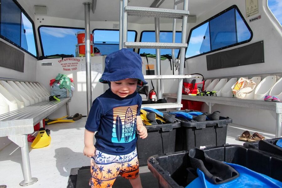 Destin: Dolphin Watching Cruise - Price and value: is $30 for this Destin cruise a good deal?