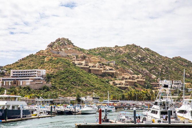 Dinner Cruise Tour in Cabo San Lucas with Tequila Tasting - The catamaran dinner cruise: buffet, open bar, and the view strategy