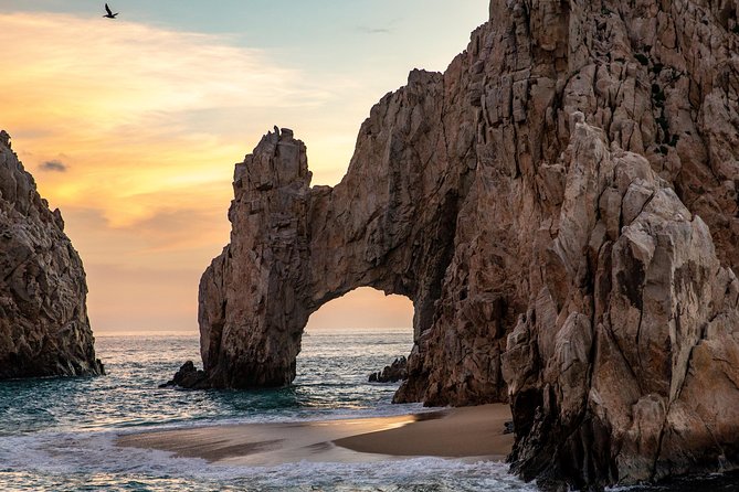 Dinner Cruise Tour in Cabo San Lucas with Tequila Tasting - The bonus wildlife moment: whales and other sea life