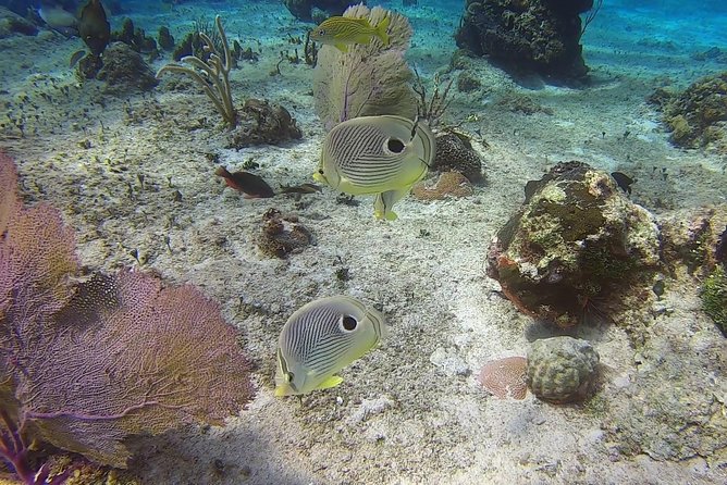 Discover Scuba Diving - Gear and what to bring, plus the photo question