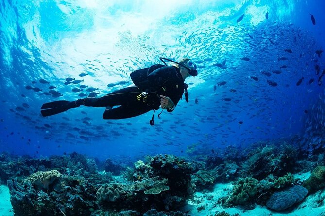 Discover Scuba Diving & Beach Club with Transportation In Riviera Maya - Gear, Water, and What You Should Wear