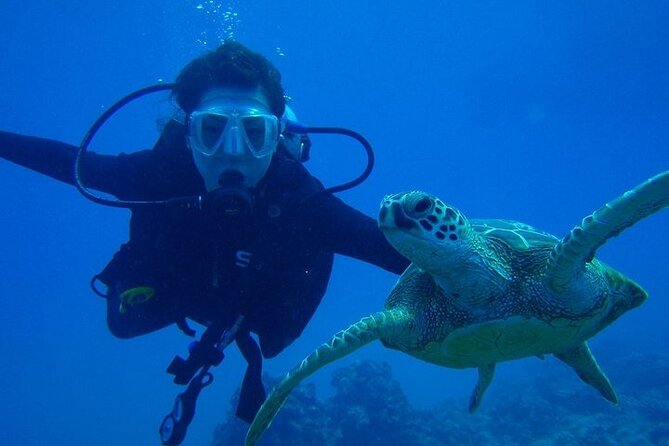Discover Scuba Diving & Beach Club with Transportation In Riviera Maya - Safety, Health Limits, and Setting Expectations