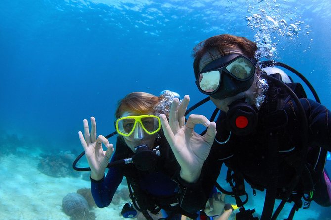 Discover Scuba Diving & Beach Club with Transportation In Riviera Maya - The 45-Minute Plan: Theory, Shallow Practice, Then Guided Underwater Time