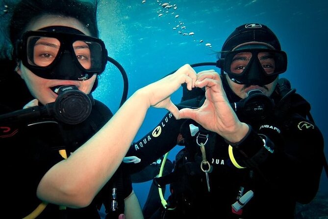 Discover Scuba Diving in Cozumel Paradise Reef - Enter the Water the Right Way: PADI Skills, Gear Fit, and Low-Stress Confidence