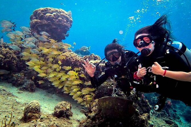 Discover Scuba Diving in Cozumel Paradise Reef - Second Tank at Paradise Reef: Longer Time, More Chances for Big Moments