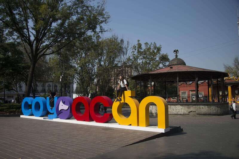 Discover Xochimilco and Coyoacán: Tradition, Music, Culture - Bus Timing and the Rhythm of the Day