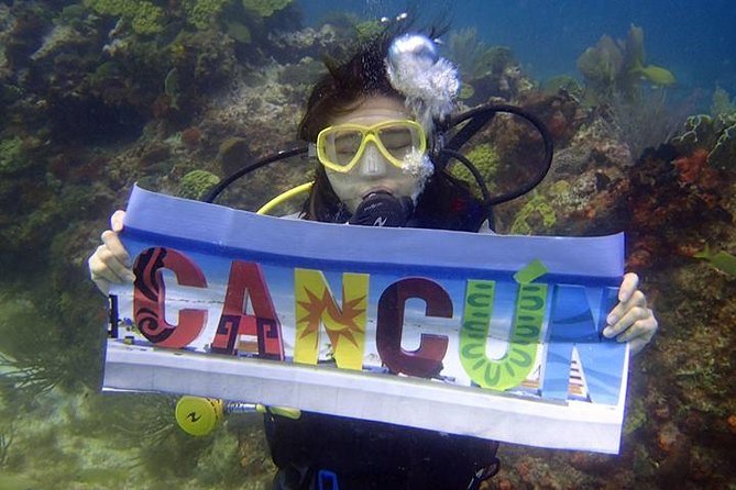 Diving in the Mexican Caribbean for Beginners | 2 Tanks 2 Dives | All Inclusive - Price and value for 2 tanks in the Mexican Caribbean