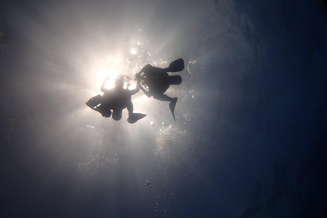Diving in the Mexican Caribbean for Beginners | 2 Tanks 2 Dives | All Inclusive - Boat time to the sites: what you should know about the schedule