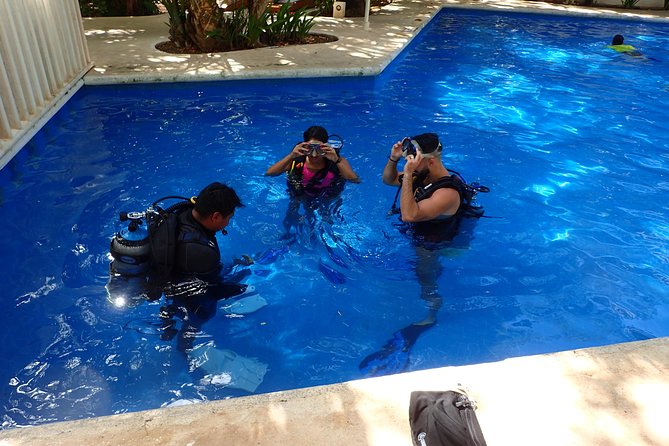 Diving in the Mexican Caribbean for Beginners | 2 Tanks 2 Dives | All Inclusive - Second stop on the natural reef: tropical life and real excitement