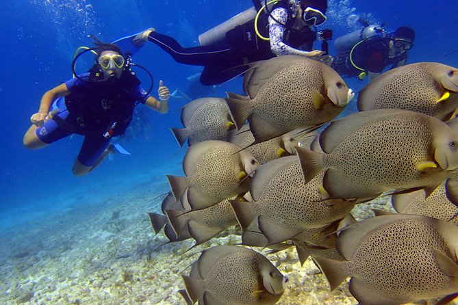 Diving in the Mexican Caribbean for Beginners | 2 Tanks 2 Dives | All Inclusive - The small-group effect: why you get more attention when you’re new
