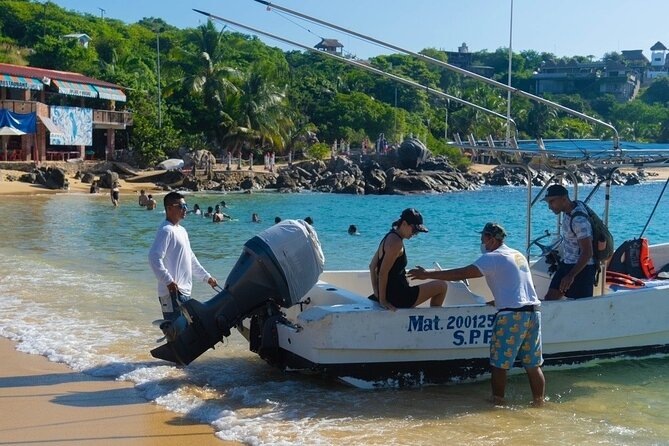 Dolphin Watching Tour - Price and Value: What You’re Paying For (and What Can Change)