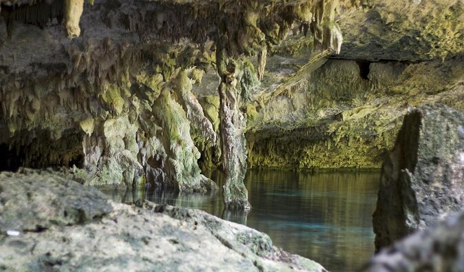 Dos Ojos Cenote VIP Private Tour - Snorkeling & Mayan Lunch - Quick reasons this Dos Ojos VIP tour gets strong marks