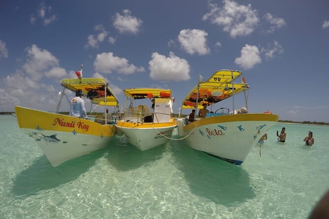 El Cielo Cozumel Snorkeling tour by Private Boat - What a private El Cielo snorkeling boat is really buying you