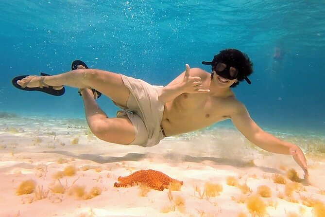 El Cielo Cozumel Snorkeling tour by Private Boat - Underwater photos: a nice add-on, with optional sticker shock