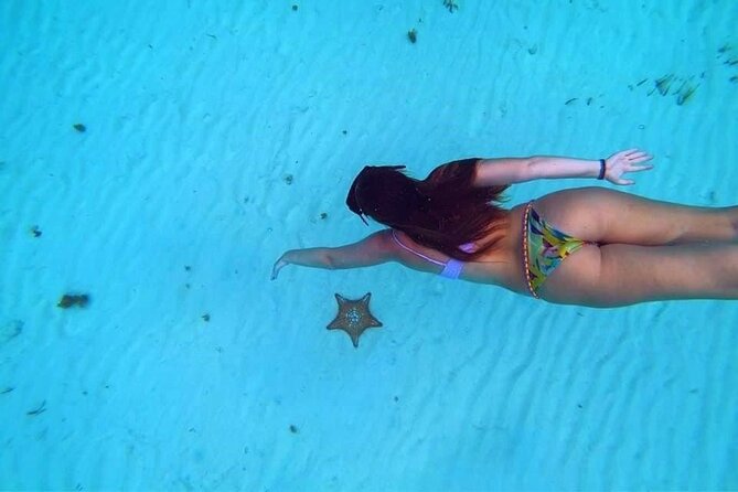 El Cielo Cozumel Snorkeling trip by Catamaran - Marina to water: logistics that affect your comfort
