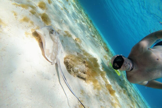 El Cielo Cozumel Snorkeling trip by Catamaran - Your snorkeling game plan: how the stops shape the day