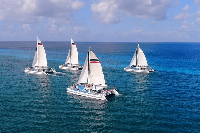 El Cielo, Palancar Snorkel & Beach Party Experience - Practical Tips That Make the Day Smoother