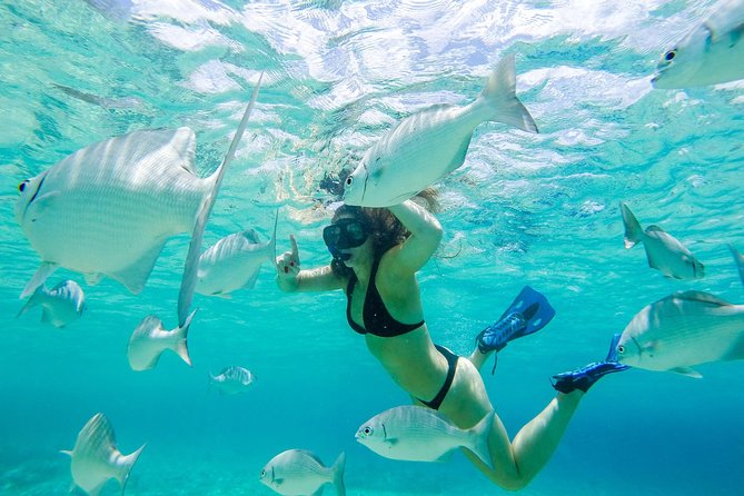 El Cielo Snorkel by Private Boat - Price and Value: What $499.99 Really Means for a Private Boat
