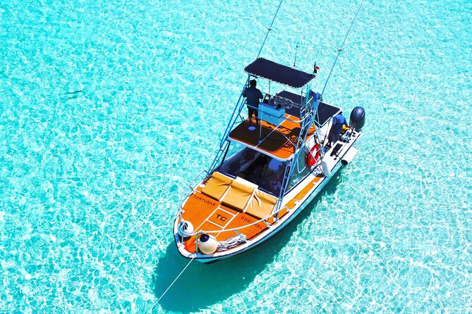 El Cielo Snorkel by Private Boat - Stop One at Chankanaab Reef: First Coral, First Big Fish Moments