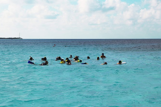 El Cielo Snorkel by Private Boat - Stop Two at Paradise Reef (Paraiso): More Time to Find the Good Stuff