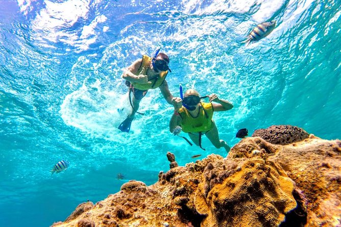 El Cielo Snorkel by Private Boat - The Crew, the Gear, and the Photo Option You Might Actually Want
