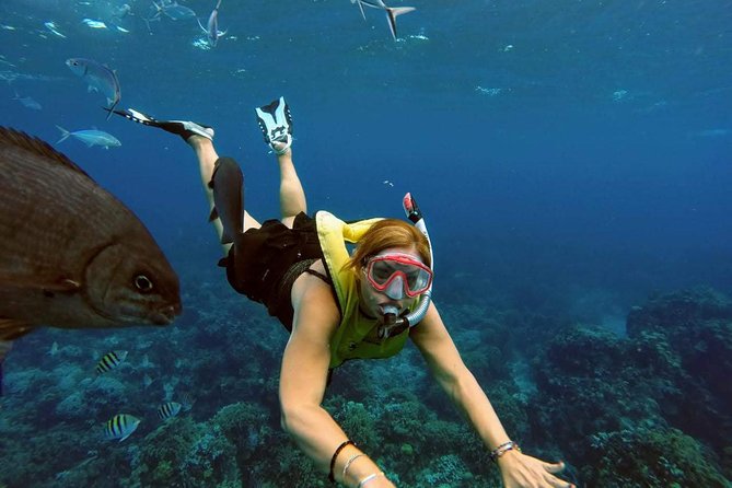 El Cielo Snorkel by Private Boat - Food and Drinks on Board: Ceviche, Fruit, and the Comfort Factor