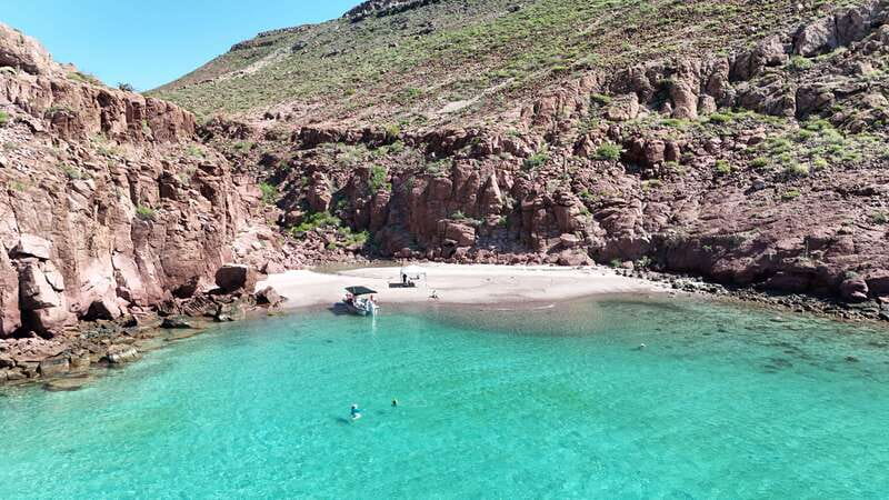 Espiritu Santo Island: Snorkeling Sea Lion Adventure - FAQ