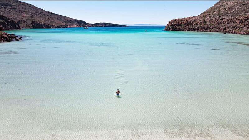 Espiritu Santo Island: Snorkeling Sea Lion Adventure - Price and Value: Why $133 Can Be a Good Deal Here