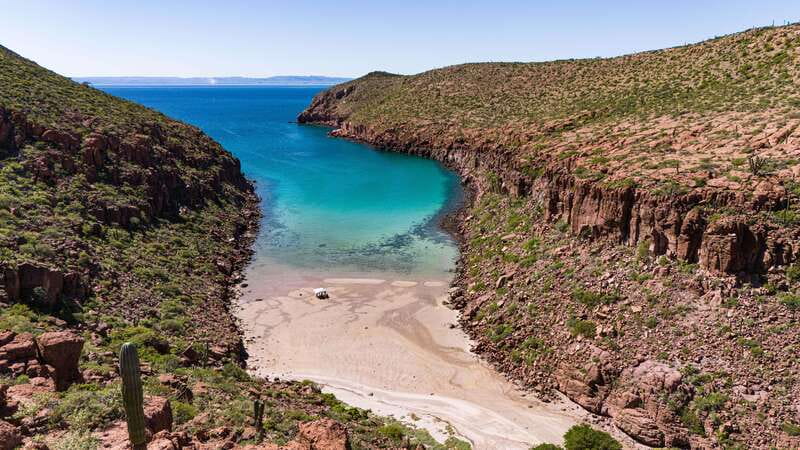 Espiritu Santo Island: Snorkeling Sea Lion Adventure - Who Should Book This Sea Lion Adventure, and Who Should Skip It