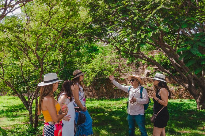Essence Zapoteca Monte Albán, Barro Negro and Alebrijes for a day. - How much is it really worth for $53.17