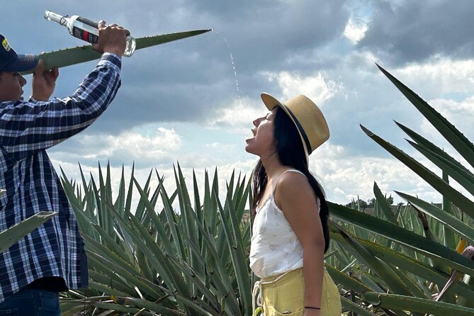 Explore Hierve el Agua, Mitla, Tule, Textile and Mezcal for a day - Price and Value: Why $75.12 Can Actually Make Sense