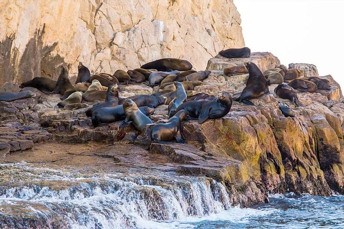 Explore Los Cabos City Tour, Glass-Bottom Boat Ride, Lunch and Shopping! - Stop 1 at Cabo San Lucas Beach: Land’s End by Glass-Bottom Boat
