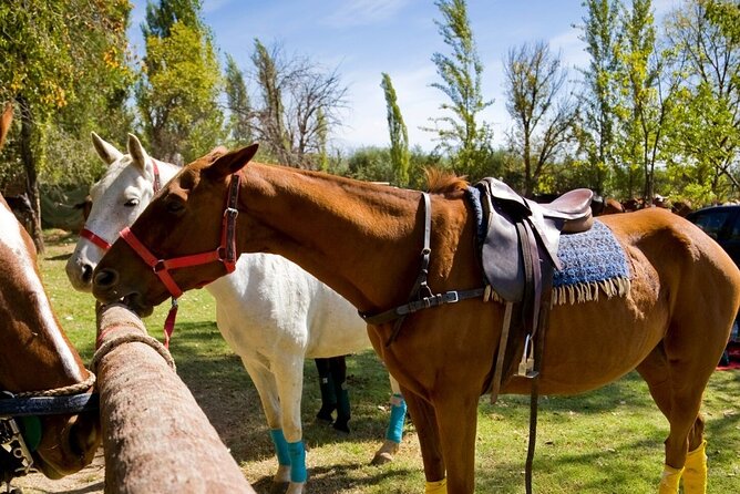 Extreme Horses Adventure with ATV, Ziplines & Cenote - What you should pack so the day feels easy