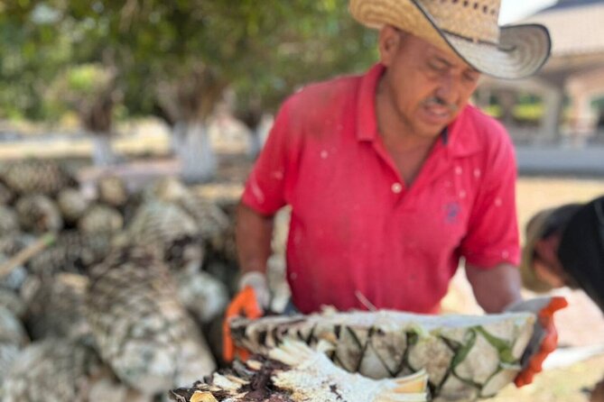 Finca 18 Puerto Vallarta Tequila Tour + Chocolate Pairing - Finca 18 Puerto Vallarta Tequila Tour: Why This Ranch Feels Different