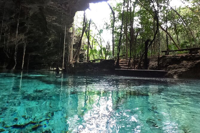 Five Cenotes Jungle Experience in the Riviera Maya - Private tour upgrade: when it’s worth paying extra