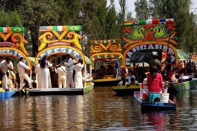 Frida Kahlo's House, Coyoacan and Xochimilco - All Day Tour - UNAM Library Central Stop: Fast Orientation, Great For First-Time Context