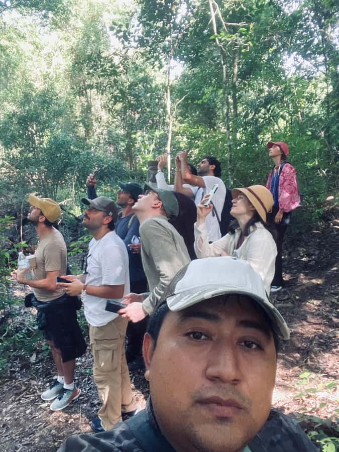 From Bacalar: Calakmul Ruins Expedition & Jungle Trek - The Jungle Trek: How the Short Walk Improves Your Wildlife Odds