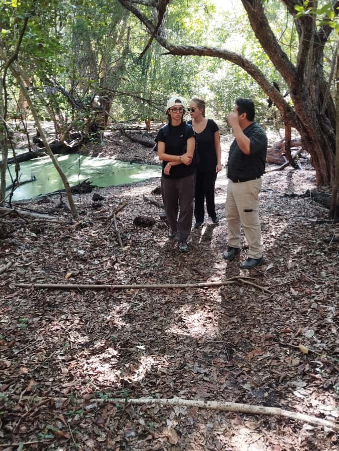 From Bacalar: Calakmul Ruins Expedition & Jungle Trek - Astronomy Talk and the Solar Observatory Stories
