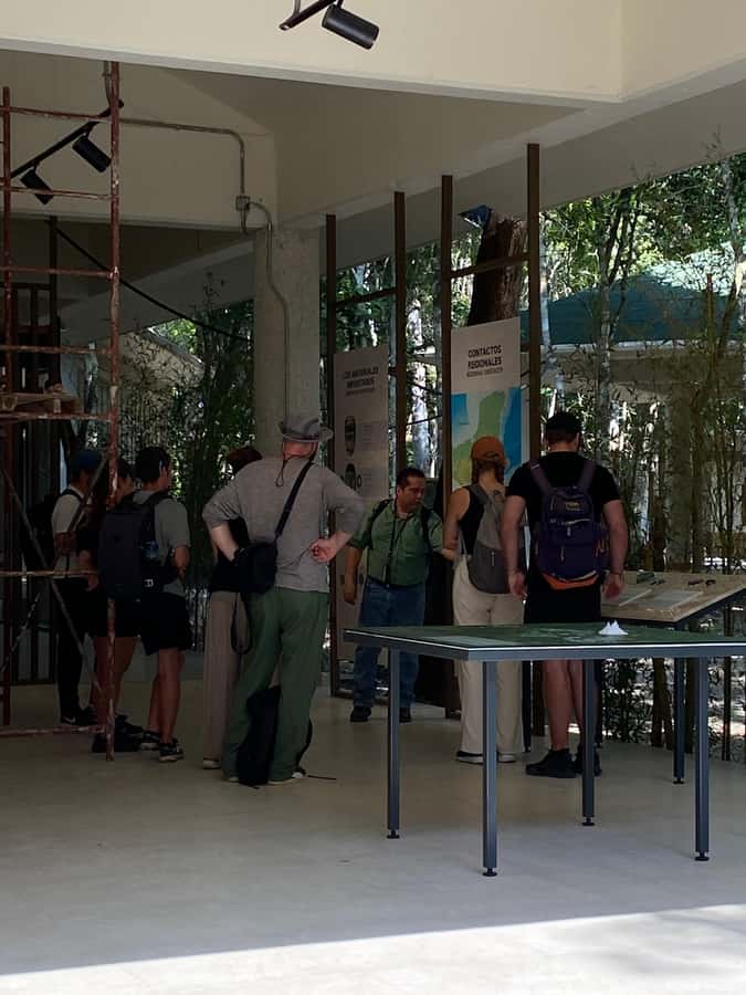 From Bacalar: Calakmul Ruins Expedition & Jungle Trek - Tickets and True Cost: Why the Base Price Needs One More Budget Line